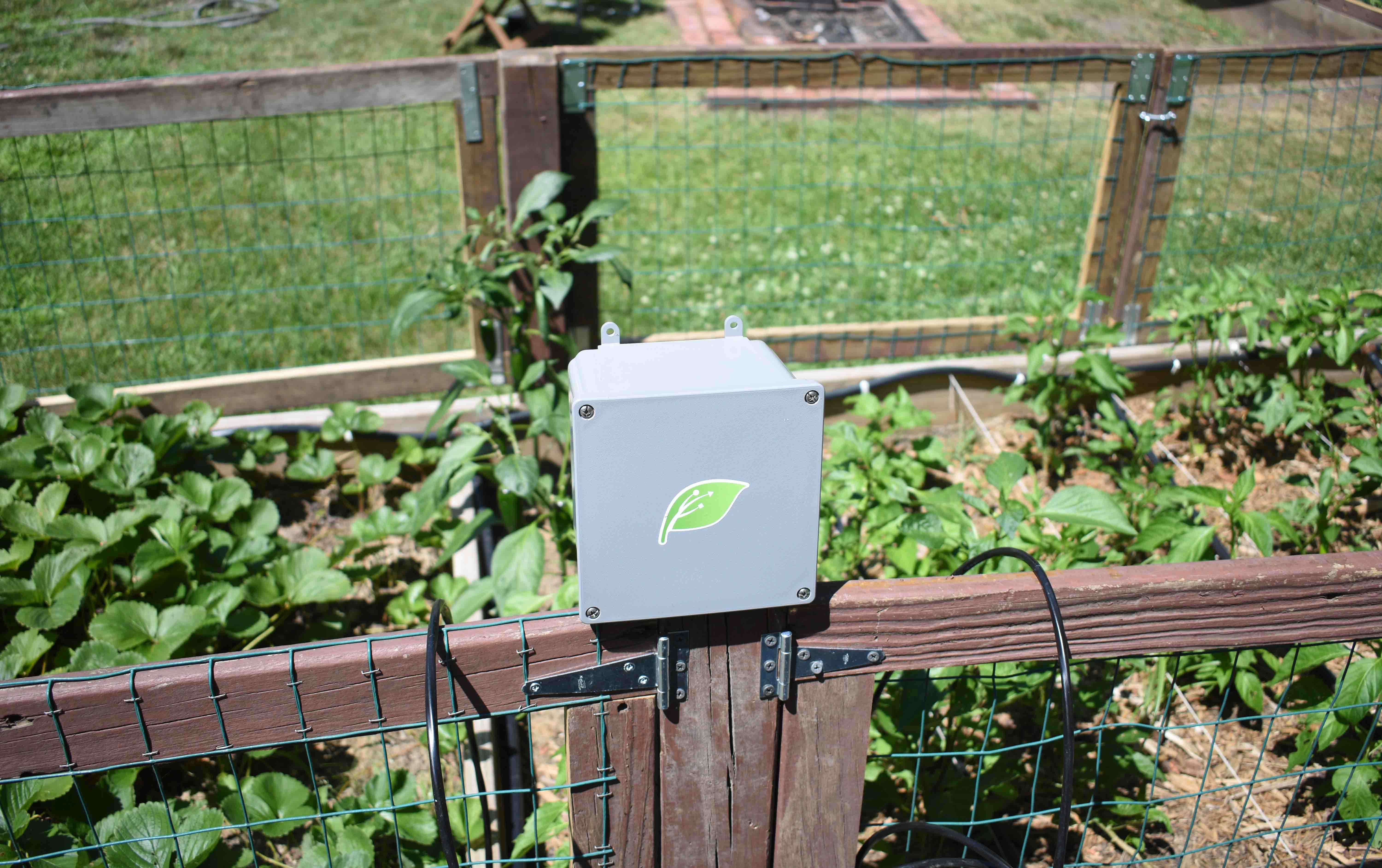Garden with Mudpi Sensor Control Unit